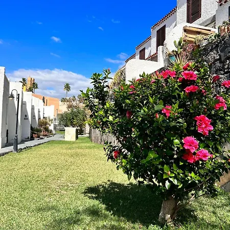 Troya Feriehus Costa Adeje (Tenerife)